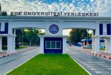 جامعة إيجه تنفي تسميم قطط الحرم وتوضح وضع 83 كلبًا أخرجتها بلدية بورنوفا