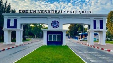 جامعة إيجه تنفي تسميم قطط الحرم وتوضح وضع 83 كلبًا أخرجتها بلدية بورنوفا