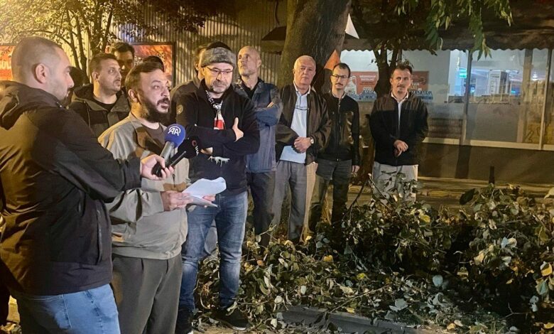 قطع 5 أشجار ليلًا في إسطنبول يثير احتجاجًا رغم خطة نقل 168 شجرة