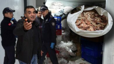 مصادرة 15 طنًا من اللحوم الفاسدة في إسطنبول.. آلات فرم تكشف احتمال إعادتها إلى السوق