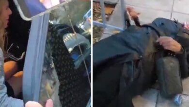 حارس رئيسة البرلمان البلغاري يطرح صحفية أرضًا.. وفحوص تحدد حاجتها إلى جراحة في الكتف