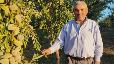 عاد من ألمانيا ليزرع 1200 شجرة في يوزغات.. لماذا ترك المزارع التركي الجوز؟