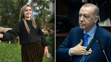 بمنحة 100 ألف ليرة.. شابة تركية تنمّي قطيعها من 50 نعجة وكبشين إلى 150 رأسًا