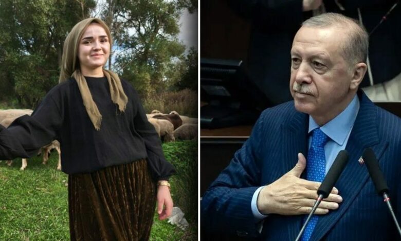 بمنحة 100 ألف ليرة.. شابة تركية تنمّي قطيعها من 50 نعجة وكبشين إلى 150 رأسًا