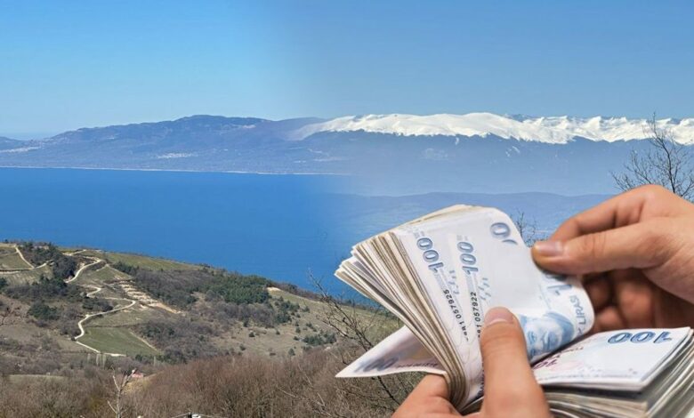 إطلالة على بحيرة إزنيق وأولوداغ تستقطب المشترين إلى قرية في بورصة.. والدونم يبدأ بمليون ليرة