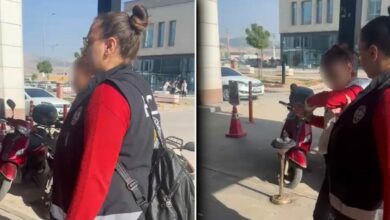 ضربت قطة بحجر قرب حاوية نفايات.. توقيف امرأة في أديامان التركية