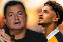 أرسنال يراقب محمد بلومي.. وهال سيتي لن يمانع رحيله إذا طلب ذلك
