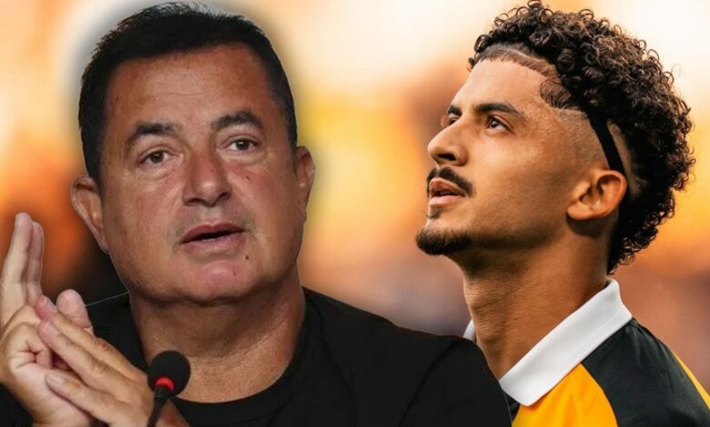 أرسنال يراقب محمد بلومي.. وهال سيتي لن يمانع رحيله إذا طلب ذلك