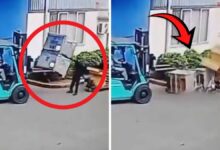 وفاة عامل سحقته منصات تزن أطنانًا بعد انقلاب رافعة شوكية في فيتنام
