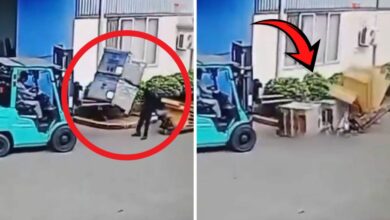 وفاة عامل سحقته منصات تزن أطنانًا بعد انقلاب رافعة شوكية في فيتنام
