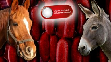 وزارة الزراعة التركية ترصد لحوم خيل وحمير وخنازير في نقانق بـ11 ولاية