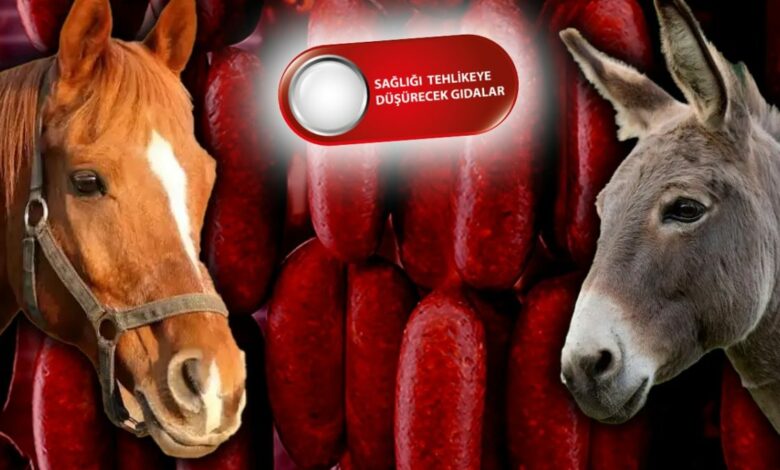 وزارة الزراعة التركية ترصد لحوم خيل وحمير وخنازير في نقانق بـ11 ولاية