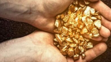 مزارع فرنسي يعثر على مكمن ذهب يُقدّر بـ4 مليارات يورو.. لكنه لا يستطيع استغلاله