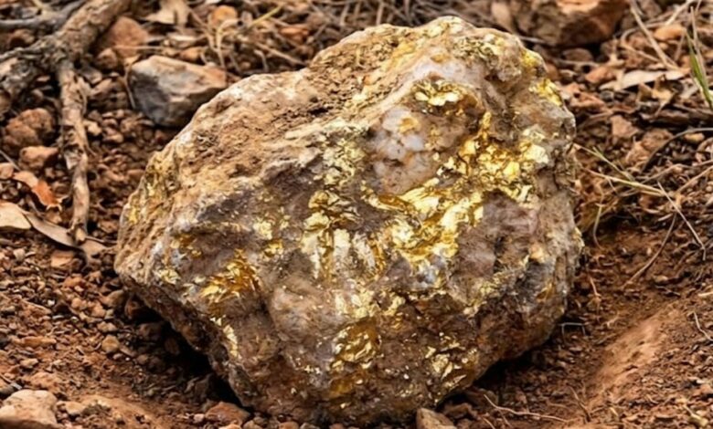 جهاز كشف بأقل من ألف دولار يقود هاويًا إلى صخرة تحمل ذهبًا بـ160 ألف دولار في أستراليا