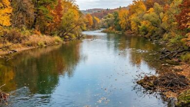 لتجنب تلوث مياه الشرب.. شيكاغو قلبت مجرى نهرها 180 درجة