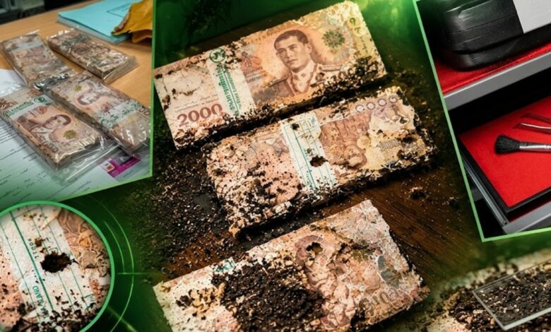 شابة في تايلاند فتحت خزنتها بعد شهر لتجد النمل الأبيض أتلف معظم مدخراتها البالغة 1.4 مليون ليرة