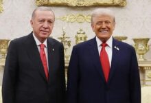 ترامب يتصل بأردوغان خلال عشاء القادة.. وقمة أنقرة أمام قرارات تخص منظمة تضم أكثر من 200 مليون نسمة