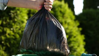 ملصق «دونكي كونغ» أُنقذ من القمامة يُباع بـ329 ألف دولار ويحطم رقمًا قياسيًا