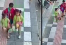طفل في شانلي أورفا يرافق شقيقتيه إلى المدرسة.. وما حمله لفت الأنظار