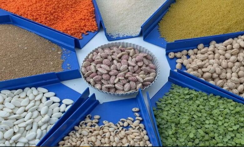 تركيا تطرح 5.5 مليون طن من الحبوب في نوفمبر.. ومليون طن من القمح العلفي بسداد 90 يومًا