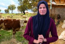 من بقرتين إلى 150 حيوانًا.. مزارعة تركية تصبح «سيدة القرية» في أوشاك