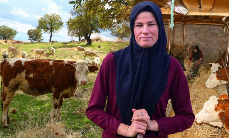 من بقرتين إلى 150 حيوانًا.. مزارعة تركية تصبح «سيدة القرية» في أوشاك